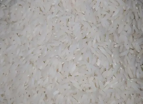 قیمت برنج فجر گیلان 2 الک + خرید باور نکردنی